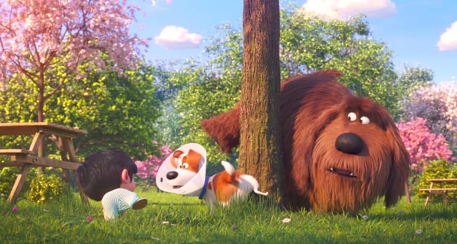 نقد و بررسی انیمیشن زندگی مخفی حیوانات خانگی ۲ (The Secret Life of Pets 2)